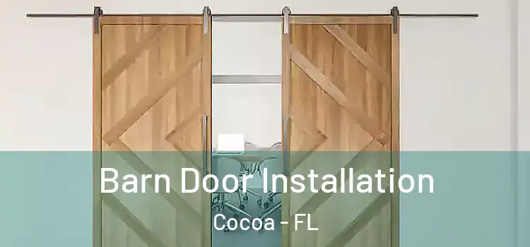  Barn Door Installation Cocoa - FL