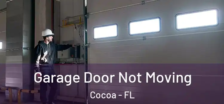  Garage Door Not Moving Cocoa - FL