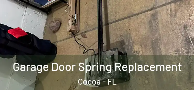  Garage Door Spring Replacement Cocoa - FL
