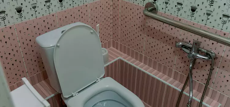 Meeting Diverse Needs With Accessible Restroom Solutions in Cocoa, FL
