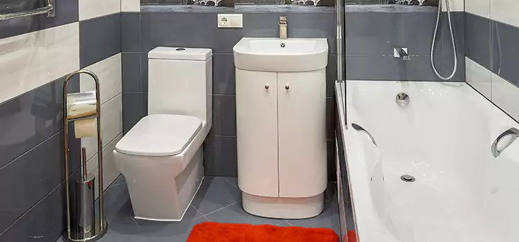 Hansgrohe Shaving Mirror Cocoa