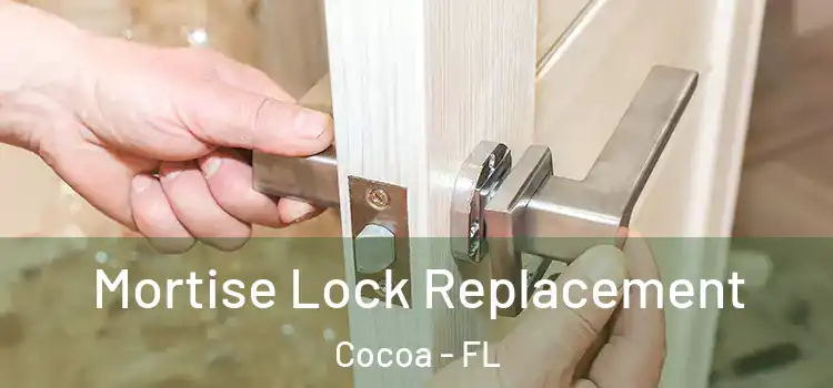  Mortise Lock Replacement Cocoa - FL