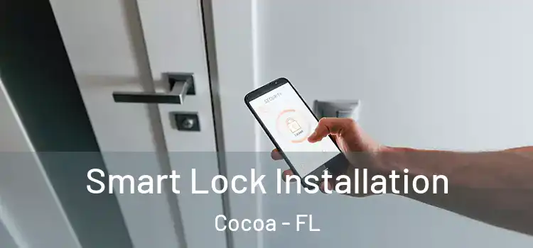 Smart Lock Installation Cocoa - FL